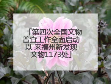 第四次全国文物普查工作全面启动以 来福州新发现文物1173处