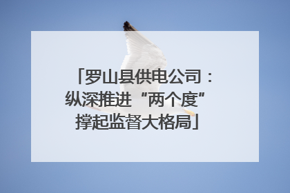 罗山县供电公司：纵深推进“两个度” 撑起监督大格局