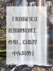 美国证实正在组建特别工作组，以监控中东局势