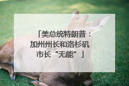美总统特朗普：加州州长和洛杉矶市长“无能”