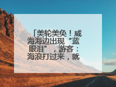 美轮美奂！威海海边出现“蓝眼泪”，游客：海浪打过来，就像星河一样