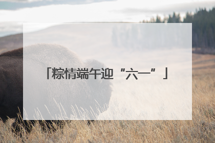 粽情端午迎“六一”
