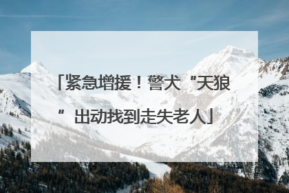 紧急增援！警犬“天狼”出动找到走失老人