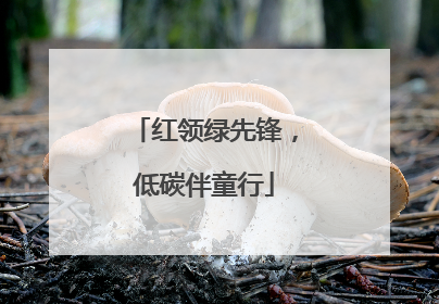 红领绿先锋，低碳伴童行