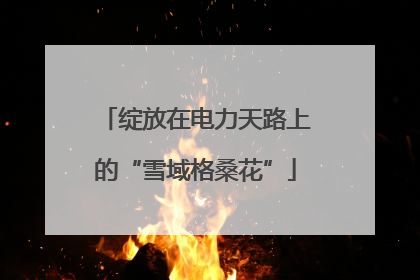 绽放在电力天路上的“雪域格桑花”