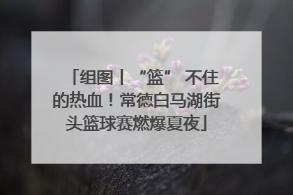 组图丨“篮” 不住的热血！常德白马湖街头篮球赛燃爆夏夜
