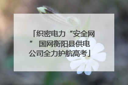 织密电力“安全网” 国网衡阳县供电公司全力护航高考