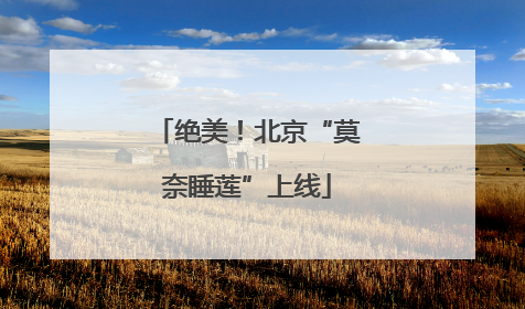 绝美！北京“莫奈睡莲”上线