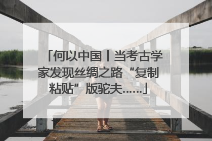 何以中国丨当考古学家发现丝绸之路“复制粘贴”版驼夫……