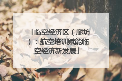 临空经济区（廊坊）：航空培训赋能临空经济新发展