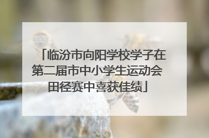 临汾市向阳学校学子在第二届市中小学生运动会田径赛中喜获佳绩