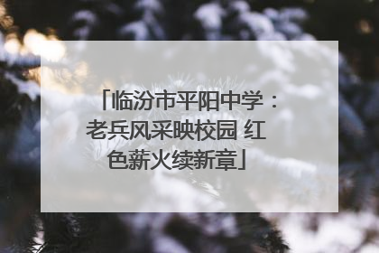 临汾市平阳中学：老兵风采映校园 红色薪火续新章