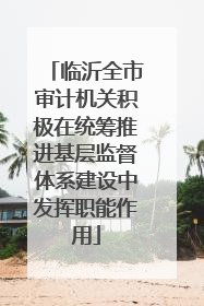 临沂全市审计机关积极在统筹推进基层监督体系建设中发挥职能作用