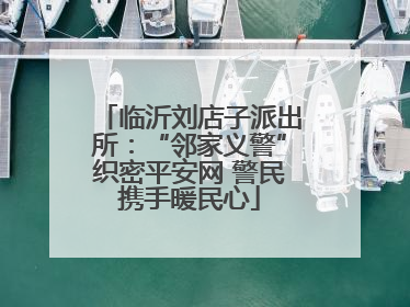 临沂刘店子派出所：“邻家义警”织密平安网 警民携手暖民心