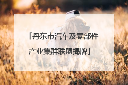 丹东市汽车及零部件产业集群联盟揭牌