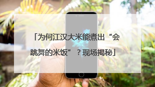 为何江汉大米能煮出“会跳舞的米饭”？现场揭秘
