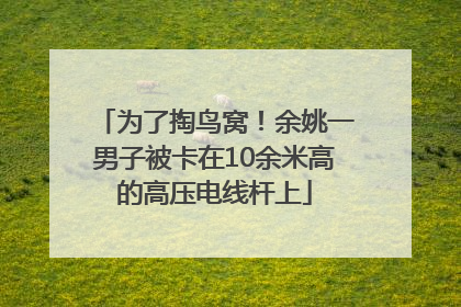 为了掏鸟窝！余姚一男子被卡在10余米高的高压电线杆上