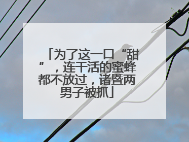为了这一口“甜”，连干活的蜜蜂都不放过，诸暨两男子被抓