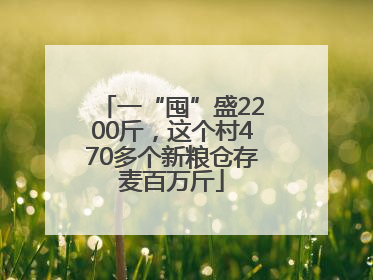 一“囤”盛2200斤，这个村470多个新粮仓存麦百万斤