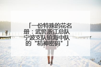 一份特殊的花名册：武警浙江总队宁波支队镇海中队的“精神密码”