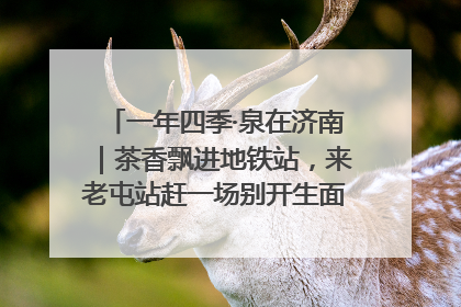 一年四季·泉在济南｜茶香飘进地铁站，来老屯站赶一场别开生面的“茶韵市集”！