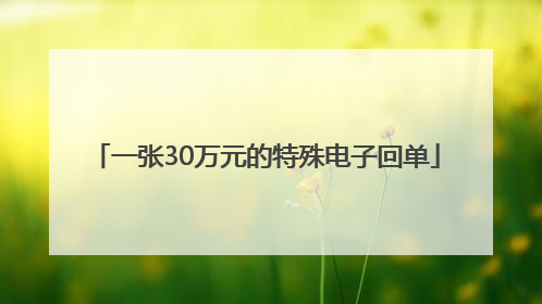 一张30万元的特殊电子回单