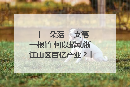 一朵菇 一支笔 一根竹 何以撬动浙江山区百亿产业？