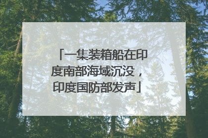 一集装箱船在印度南部海域沉没，印度国防部发声