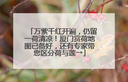 万紫千红开遍，仍留一荷清凉！厦门赏荷地图已备好，还有专家带您区分荷与莲→