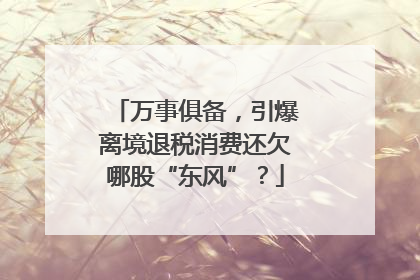 万事俱备，引爆离境退税消费还欠哪股“东风”？