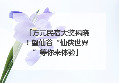 万元民宿大奖揭晓！望仙谷“仙侠世界”等你来体验