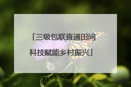 三级包联直通田间 科技赋能乡村振兴