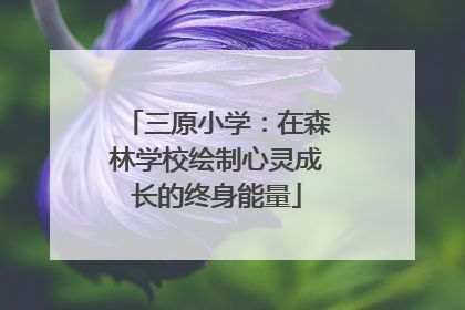 三原小学：在森林学校绘制心灵成长的终身能量