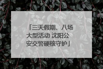 三天假期、八场大型活动 沈阳公安交警硬核守护