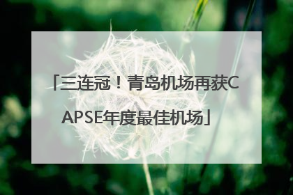 三连冠！青岛机场再获CAPSE年度最佳机场