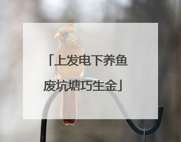 上发电下养鱼 废坑塘巧生金