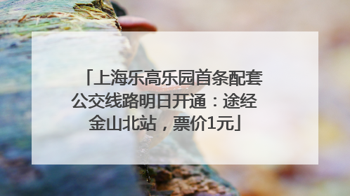 上海乐高乐园首条配套公交线路明日开通：途经金山北站，票价1元