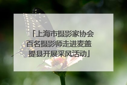 上海市摄影家协会百名摄影师走进麦盖提县开展采风活动
