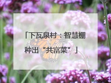下瓦泉村：智慧棚种出“共富菜”