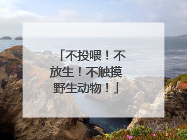 不投喂！不放生！不触摸野生动物！