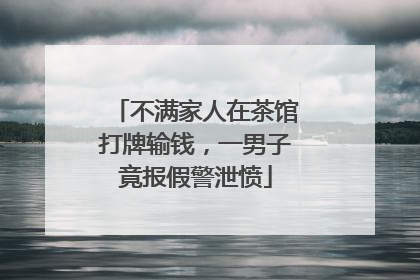不满家人在茶馆打牌输钱，一男子竟报假警泄愤