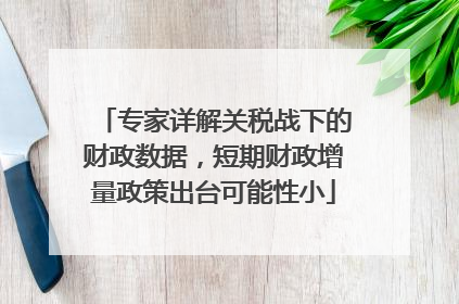 专家详解关税战下的财政数据，短期财政增量政策出台可能性小