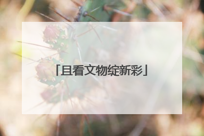 且看文物绽新彩