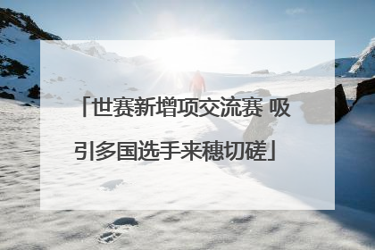 世赛新增项交流赛 吸引多国选手来穗切磋