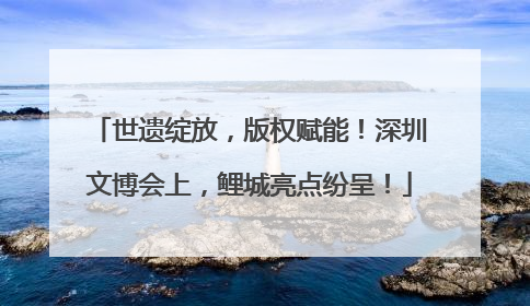 世遗绽放，版权赋能！深圳文博会上，鲤城亮点纷呈！