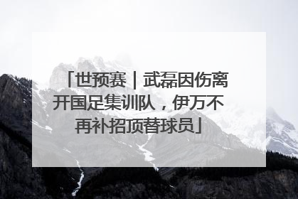 世预赛｜武磊因伤离开国足集训队，伊万不再补招顶替球员