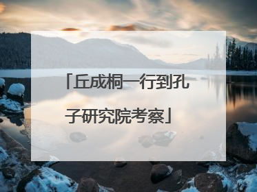 丘成桐一行到孔子研究院考察