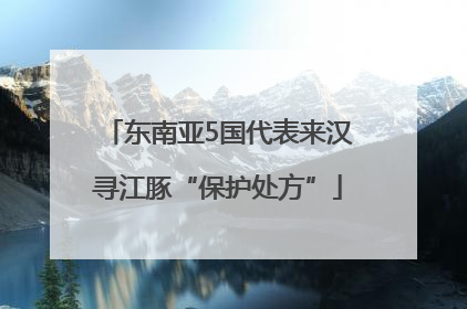 东南亚5国代表来汉寻江豚“保护处方”