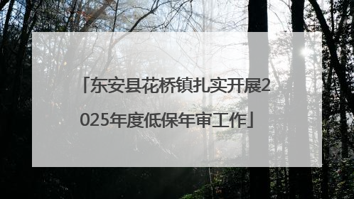 东安县花桥镇扎实开展2025年度低保年审工作