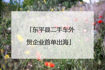 东平县二手车外贸企业首单出海